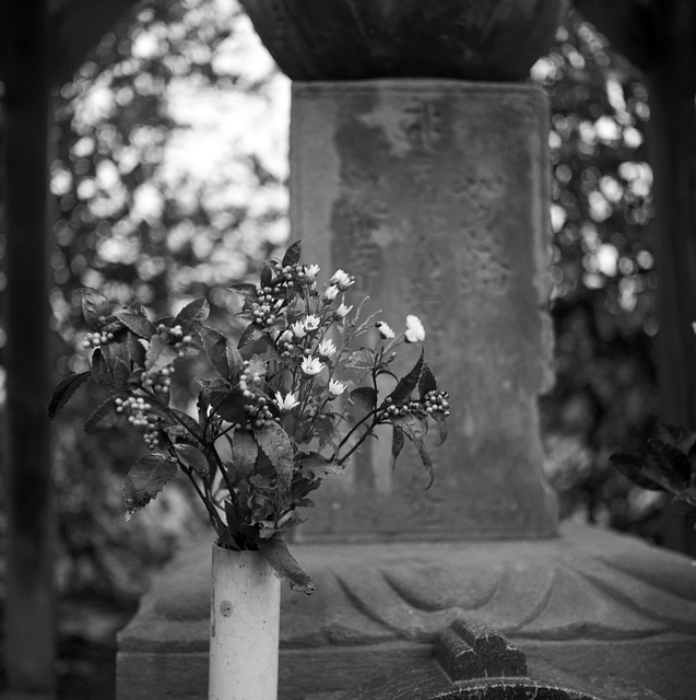 Wild flowers offered to Jizo