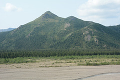 Alaska, Denali National Park Landscape