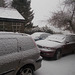 wst[17] - snow from Bruno {29th Dec 2017}