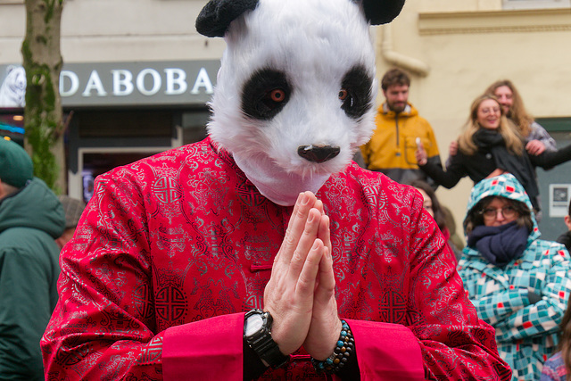 Un grand panda vous salue