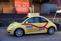 Yellow Submarine Beetle