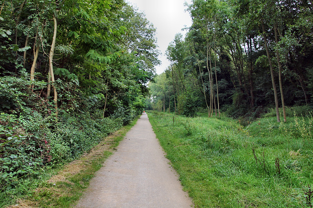 Radweg auf dem Gelände des ehem. Übergabebahnhofs (Herne) / 26.08.2017