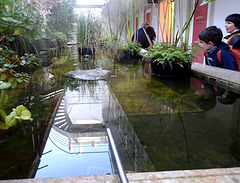 Underwater Fences