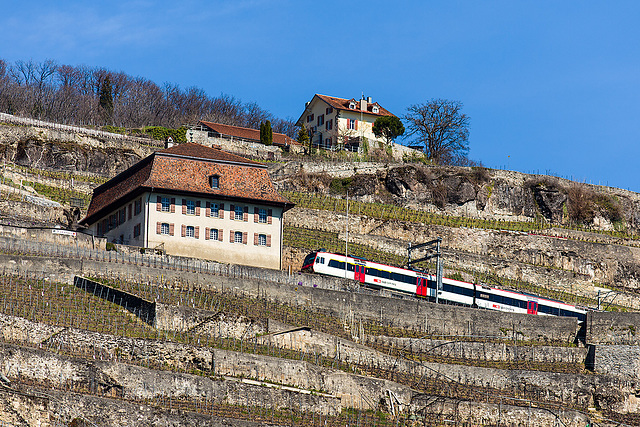 130414 train vignes