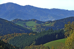 Blick in Richtung Kirchzarten