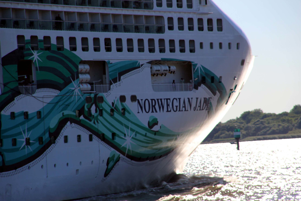 Teilansicht - Norwegian Jade