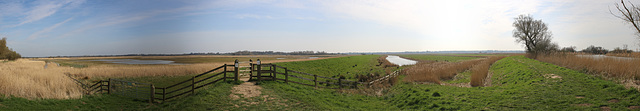 Carlton Marshes nature reserve, Lowestoft