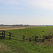 Carlton Marshes nature reserve, Lowestoft