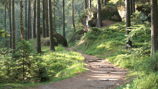 Wanderweg "Obere Affensteinpromenade" / Nationalpark Sächsische Schweiz