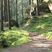 Wanderweg "Obere Affensteinpromenade" / Nationalpark Sächsische Schweiz