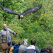 ipernity-Treffen Saarburg - Besuch des Greifvogelparks Saarburg am 12.09.2025 ipernity-Treffen Saarburg - Besuch des Greifvogelparks Saarburg am 12.09.2025