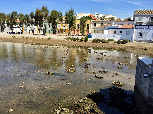 Rio Gilão from Ponte Romana, Tavira (2015)