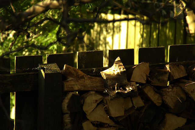 As The Day Was Having A Rest As The Day Was Having A Rest