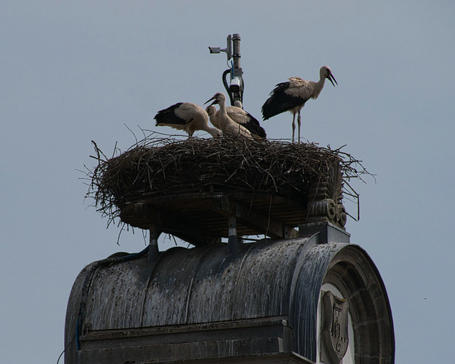 Flugvorbereitung (3 PiP)