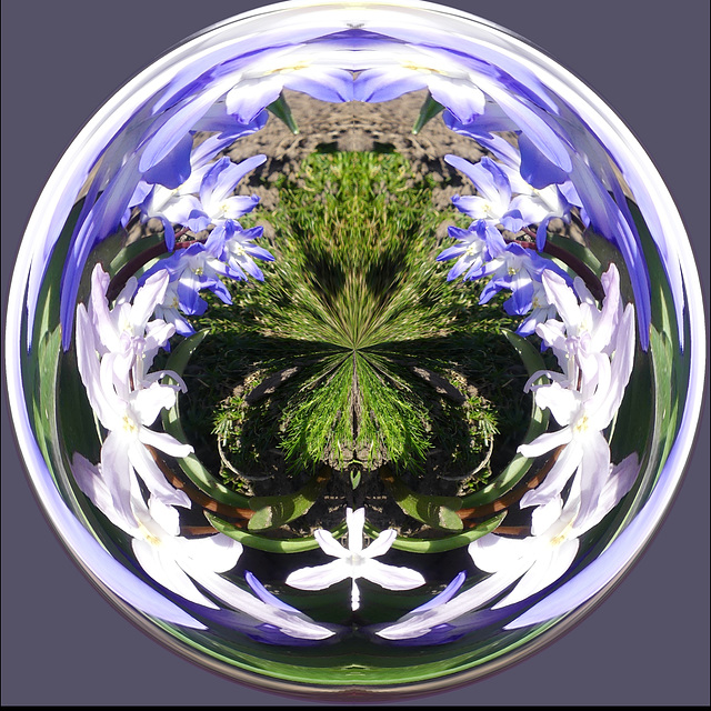 Nieuwe cirkel voor PAM Nieuwe cirkel voor PAM