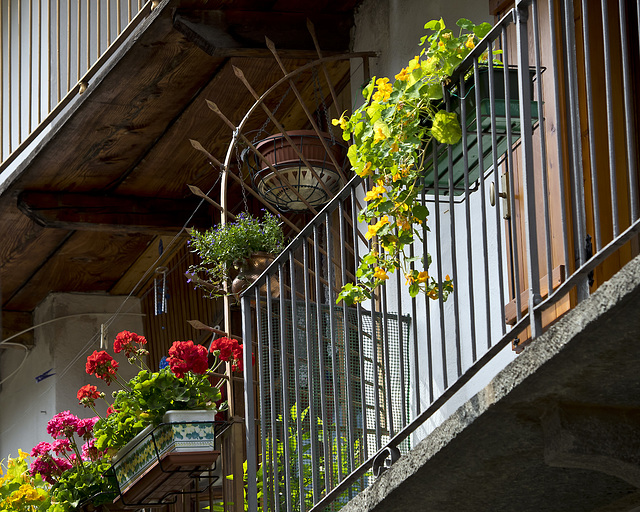 Flowery balcony at Piedicavallo, Biella