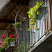 Flowery balcony at Piedicavallo, Biella