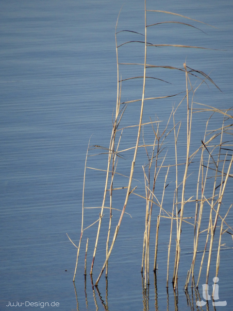 Blau, blau, grau glänzt der Phönixsee