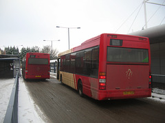 DSCN3766 Essex County Buses V119 LVH and V937 VUB in Bury St. Edmunds - 7 Jan 2010
