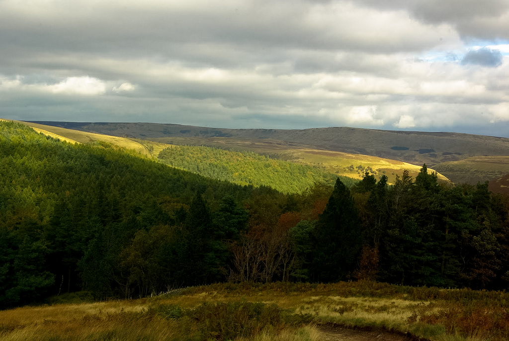 View to Howden Edge