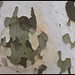 DSCF6194 M