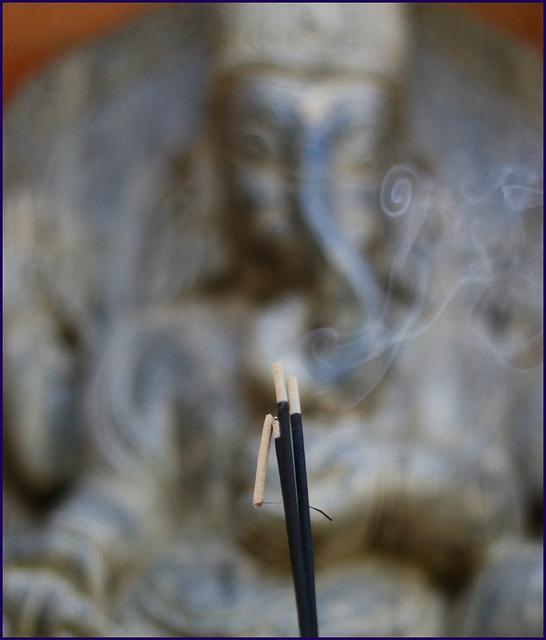 elephant smoke