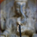 elephant smoke