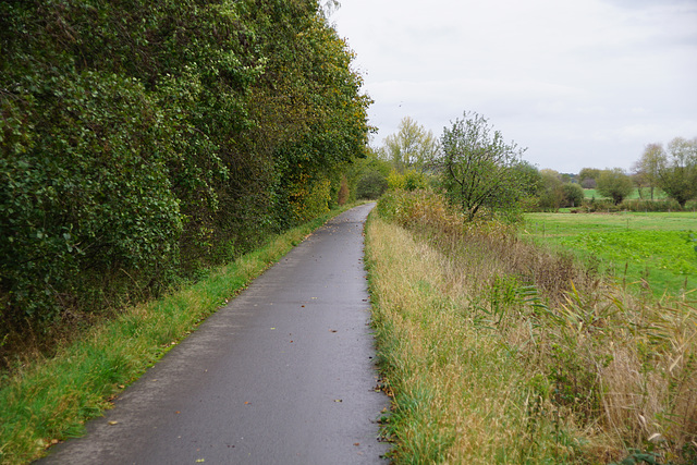 Der Radweg nach Rollshausen