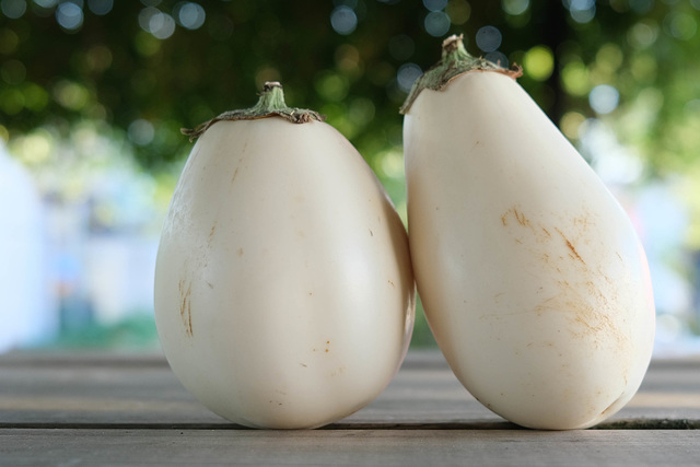 A : aubergine (2x1) A : aubergine (2x1)