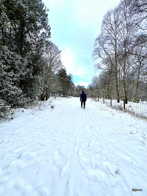 January Snows