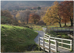 HFF ~ Autumn by Chew