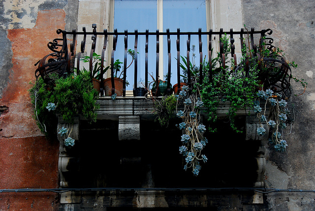 Der hängende Garten von Catania