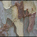 DSCF6195 M