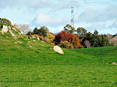 Rocky hill and bush
