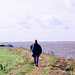 Looking inland along the River Yare from near the A47 bridge (Scan from October 1998)