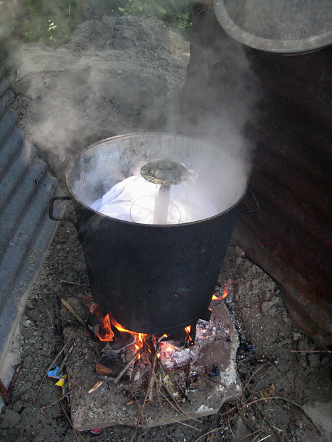 Programme "Coton à 100°"