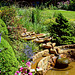 The Chalice Well & Gardens ~ Glastonbury