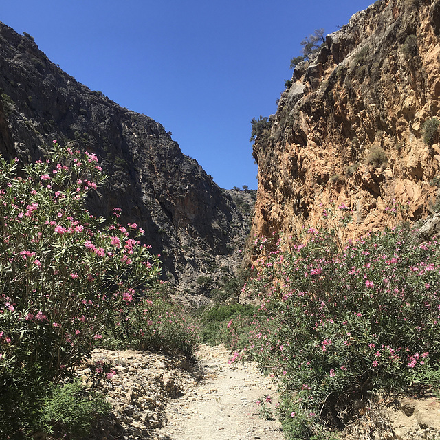 Agiofarago Gorge.