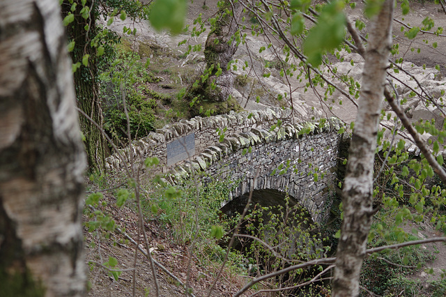 Top bridge at Aira Force