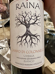 Perugia 2023 – Raina wine