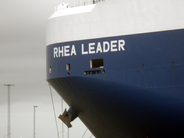 RHEA LEADER