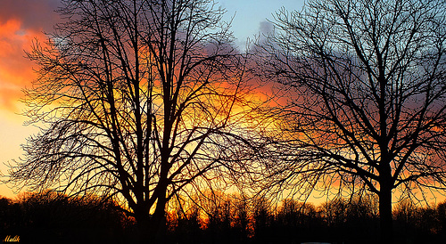 Bon Vendredi ...HFF.