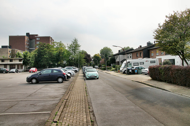 Stettiner Weg (Herne) / 26.08.2017