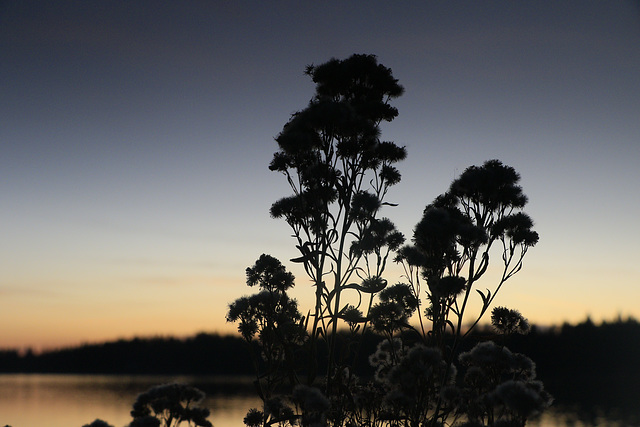 Clear Lake Sunset