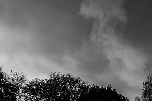 COP26 Weather grey