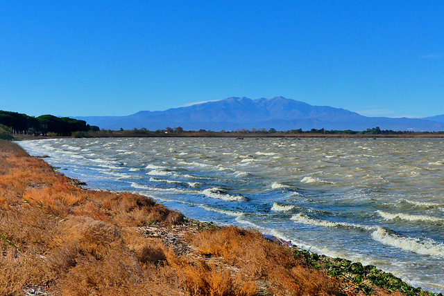 P1400833- Massif du Canigou - Etang de Cannet et St Nazaire.  08 novembre 2021