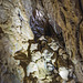 221005 Vallorbe grottes 10