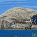 150000 Gannets, and a lighthouse.