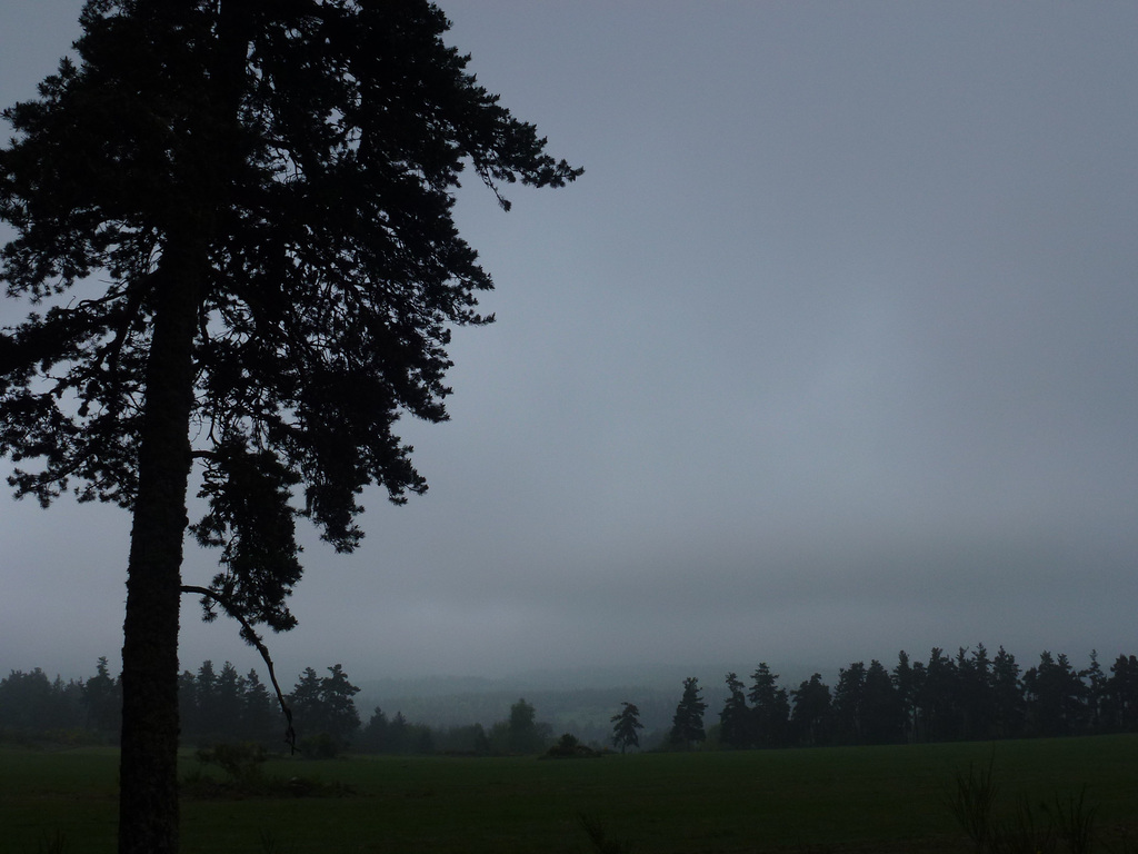 20150514 -17 Chastagnier Lozere VTT-Rando (169) al