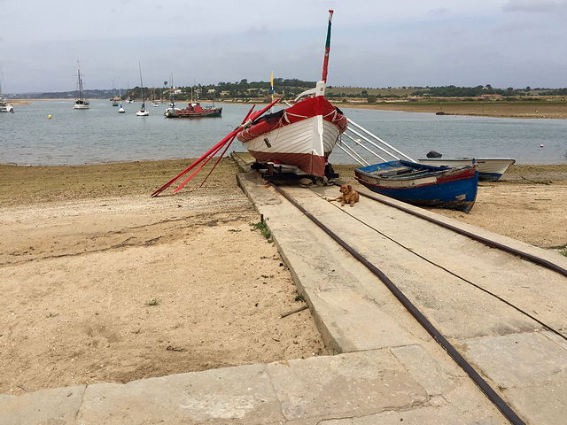 Alvor harbour (2017)